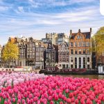 Cara Menikmati Musim Semi Di Amsterdam Belanda Panduan Lengkap Untuk Pengalaman Tak Terlupakan