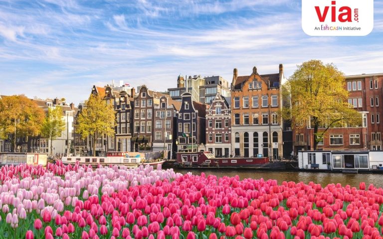 Cara Menikmati Musim Semi Di Amsterdam Belanda Panduan Lengkap Untuk Pengalaman Tak Terlupakan
