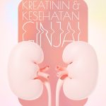 Cara Menurunkan Kadar Kreatinin Ginjal Secara Natural Panduan Lengkap Menjaga Kesehatan Ginjal