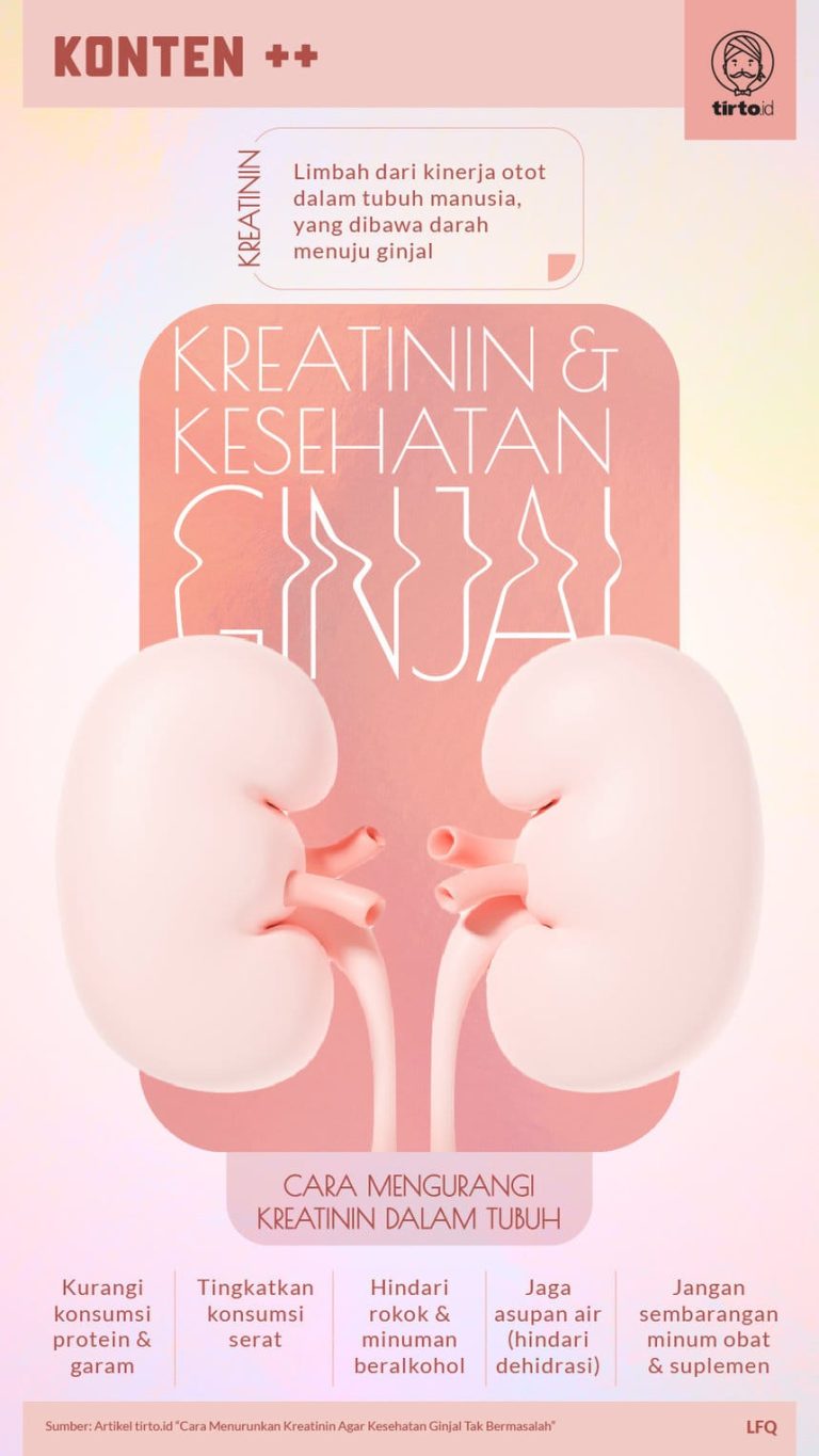 Cara Menurunkan Kadar Kreatinin Ginjal Secara Natural Panduan Lengkap Menjaga Kesehatan Ginjal