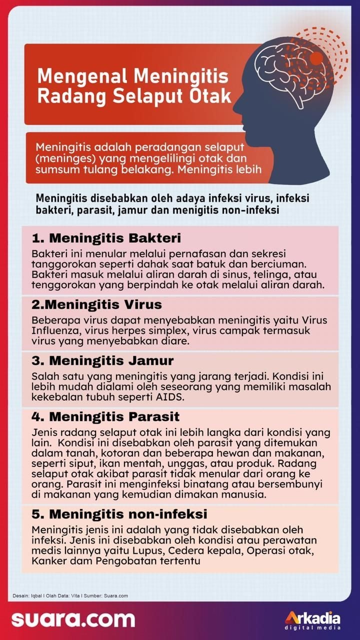Gejala Radang Selaput Otak Meningitis Mengenali Tanda Peringatan Dini Untuk Penanganan Cepat